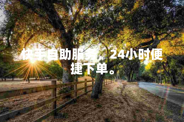 快手自助服务，24小时便捷下单。