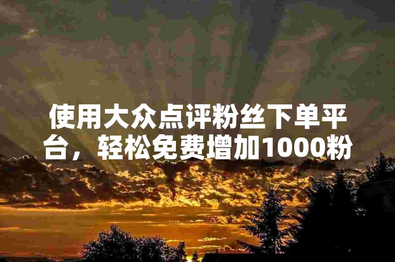 使用大众点评粉丝下单平台，轻松免费增加1000粉丝。