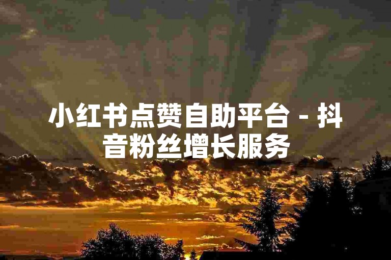 小红书点赞自助平台 - 抖音粉丝增长服务