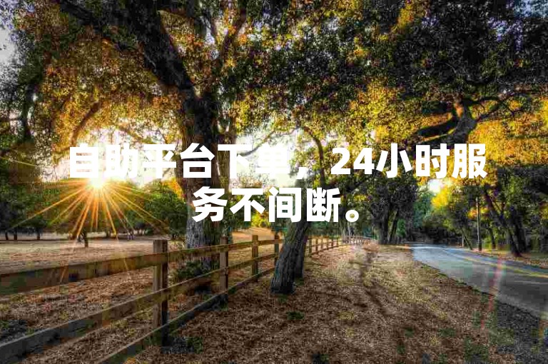 自助平台下单，24小时服务不间断。