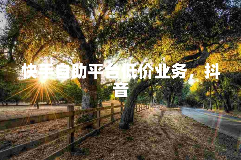 快手自助平台低价业务，抖音51级账号价值多少？