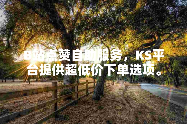 B站点赞自助服务，KS平台提供超低价下单选项。