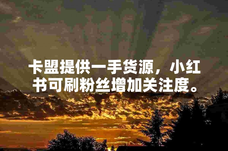 卡盟提供一手货源，小红书可刷粉丝增加关注度。