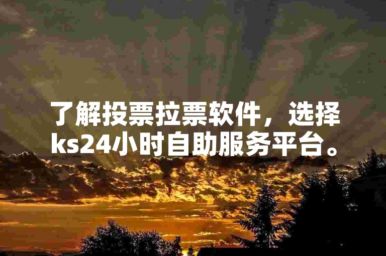 了解投票拉票软件，选择ks24小时自助服务平台。