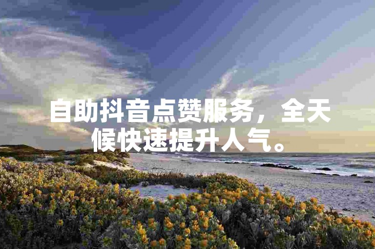 自助抖音点赞服务，全天候快速提升人气。