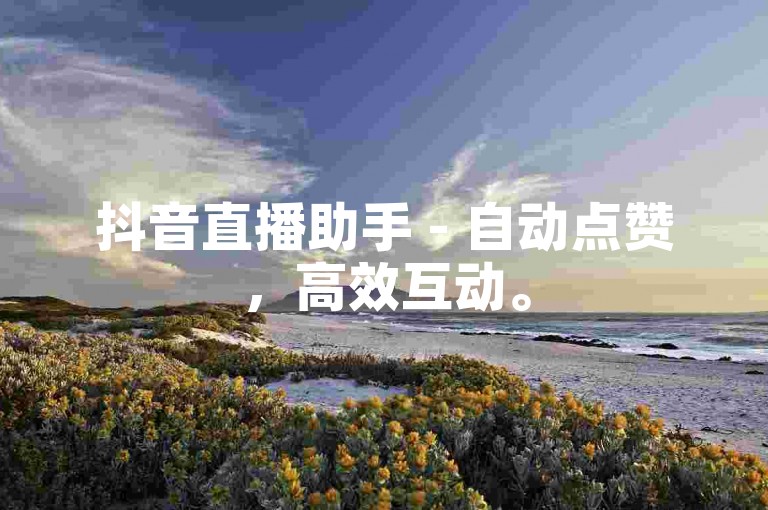 抖音直播助手 - 自动点赞，高效互动。