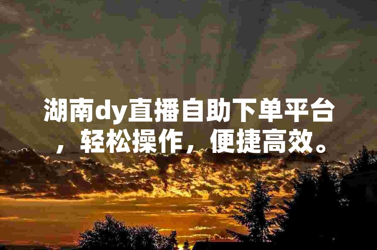 湖南dy直播自助下单平台，轻松操作，便捷高效。