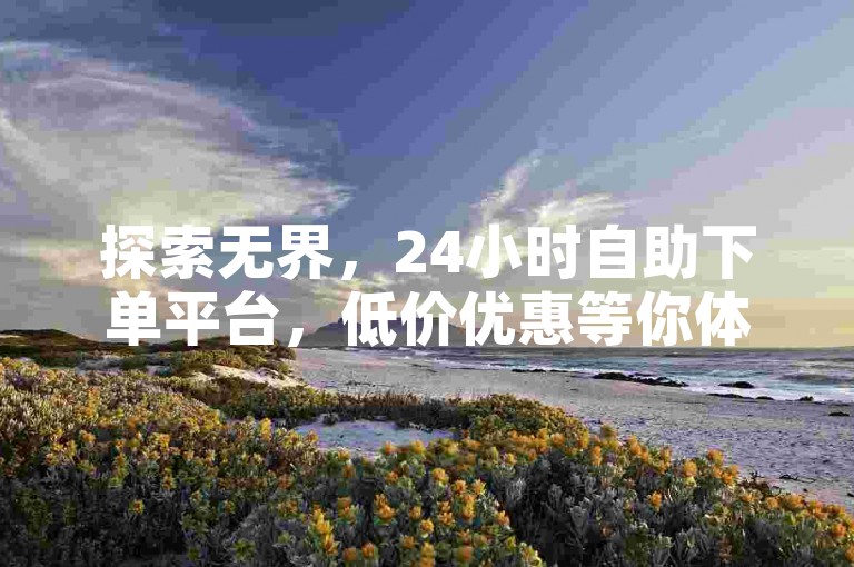 探索无界，24小时自助下单平台，低价优惠等你体验。