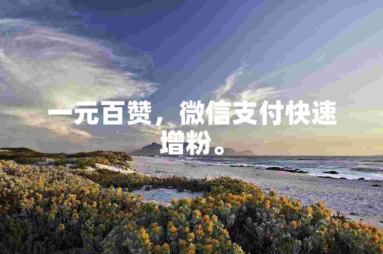 一元百赞，微信支付快速增粉。