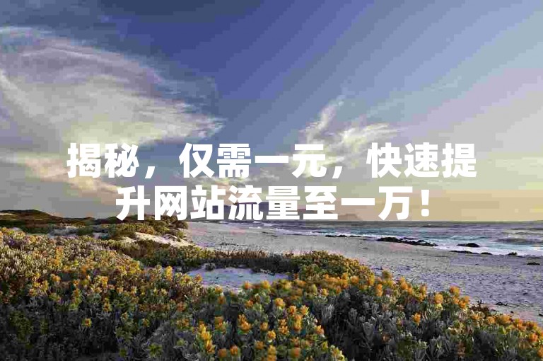 揭秘，仅需一元，快速提升网站流量至一万！