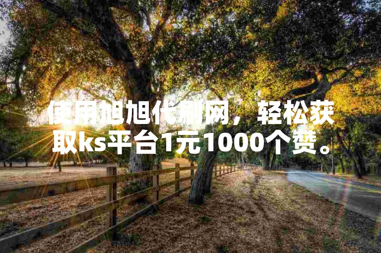 使用旭旭代刷网，轻松获取ks平台1元1000个赞。