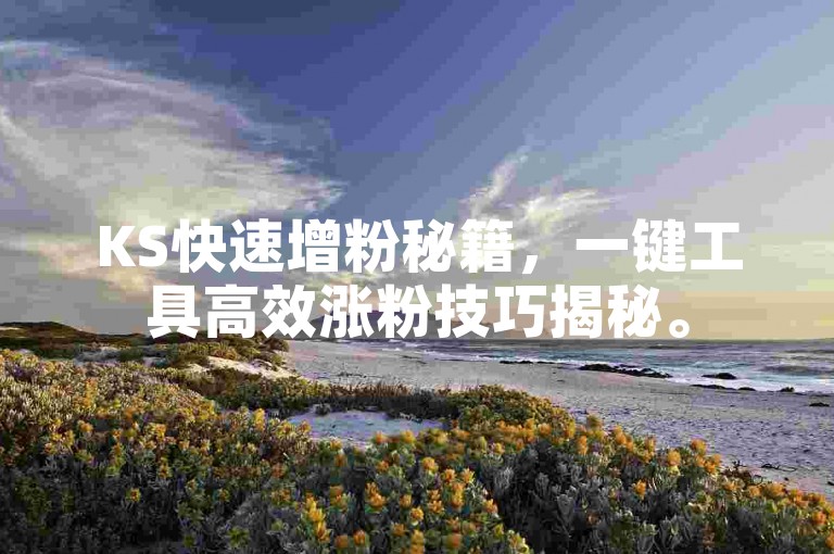 KS快速增粉秘籍，一键工具高效涨粉技巧揭秘。