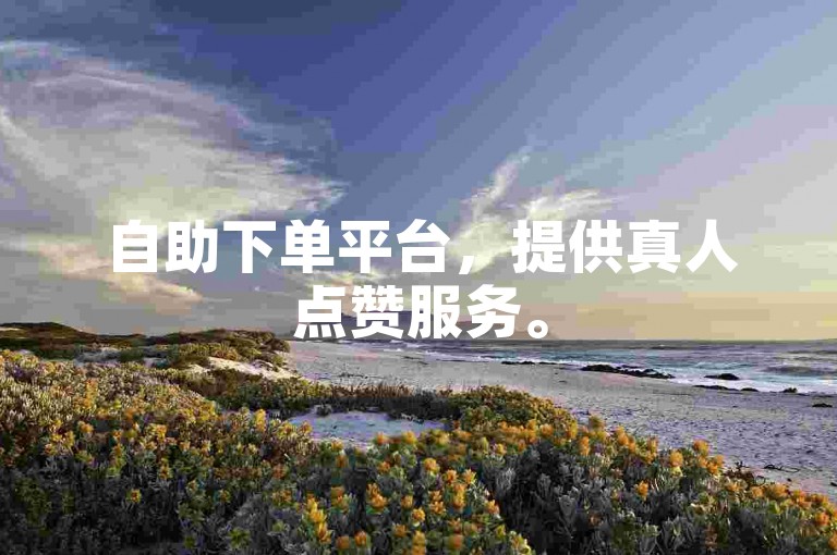 自助下单平台，提供真人点赞服务。