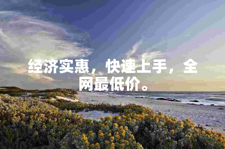 经济实惠，快速上手，全网最低价。