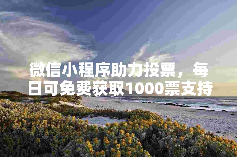 微信小程序助力投票，每日可免费获取1000票支持。