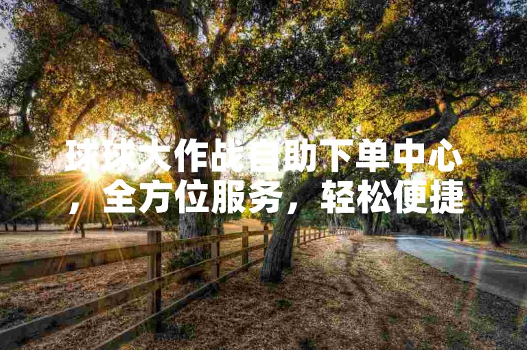 球球大作战自助下单中心，全方位服务，轻松便捷，安全无忧！