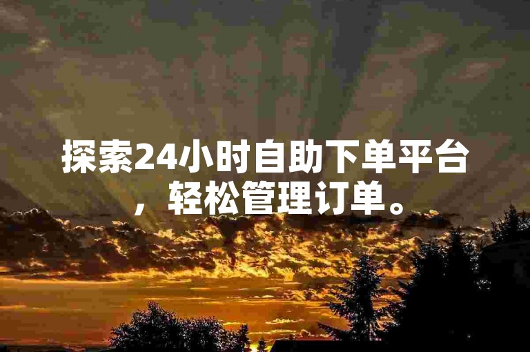 探索24小时自助下单平台，轻松管理订单。