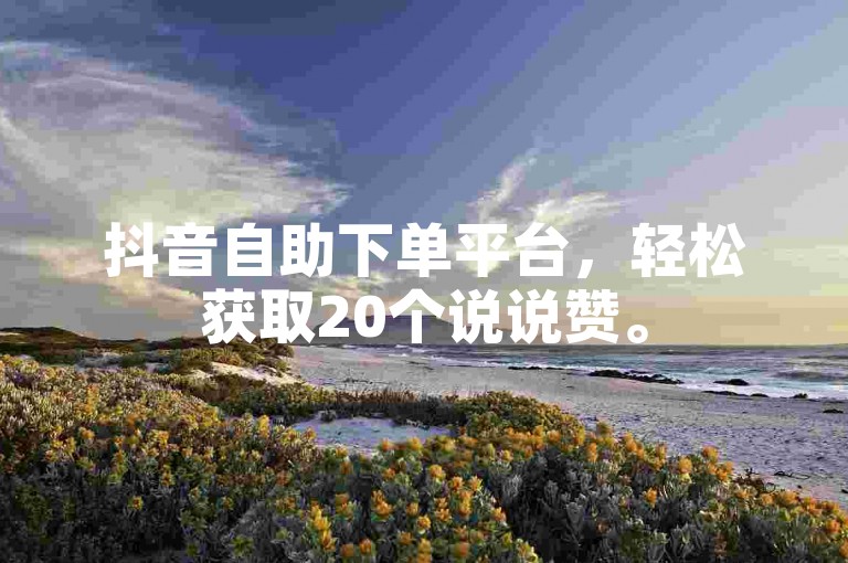 抖音自助下单平台，轻松获取20个说说赞。