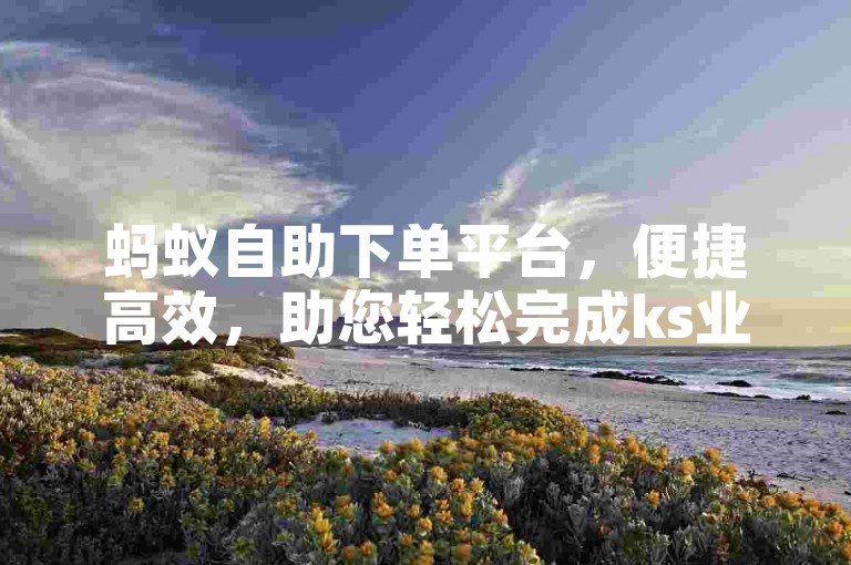 蚂蚁自助下单平台，便捷高效，助您轻松完成ks业务。