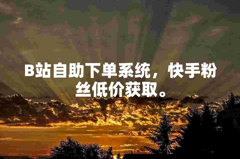 B站自助下单系统，快手粉丝低价获取。