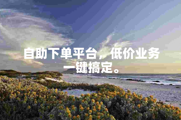 自助下单平台，低价业务一键搞定。