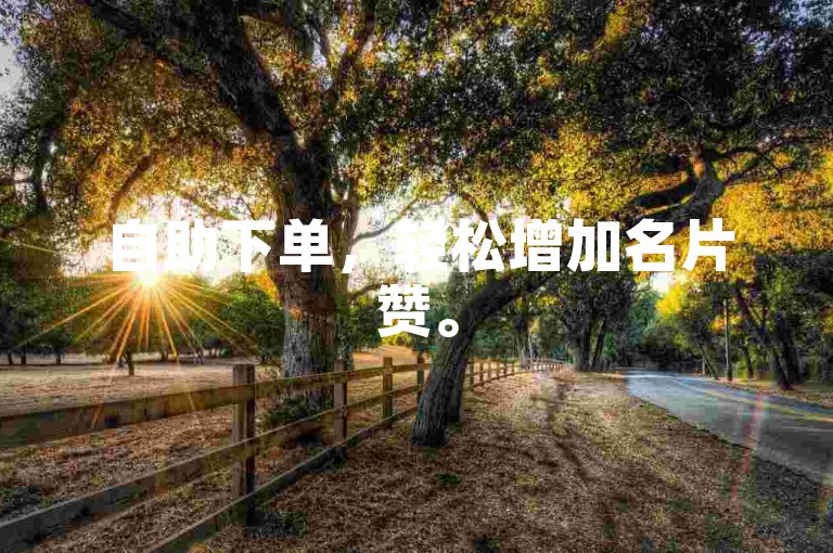 自助下单，轻松增加名片赞。