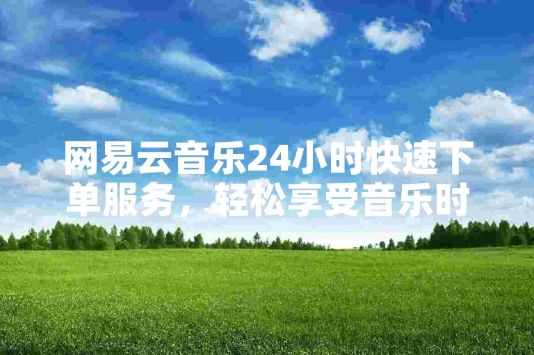 网易云音乐24小时快速下单服务，轻松享受音乐时光。