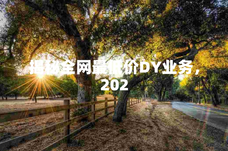 揭秘全网最低价DY业务，2025必备攻略！