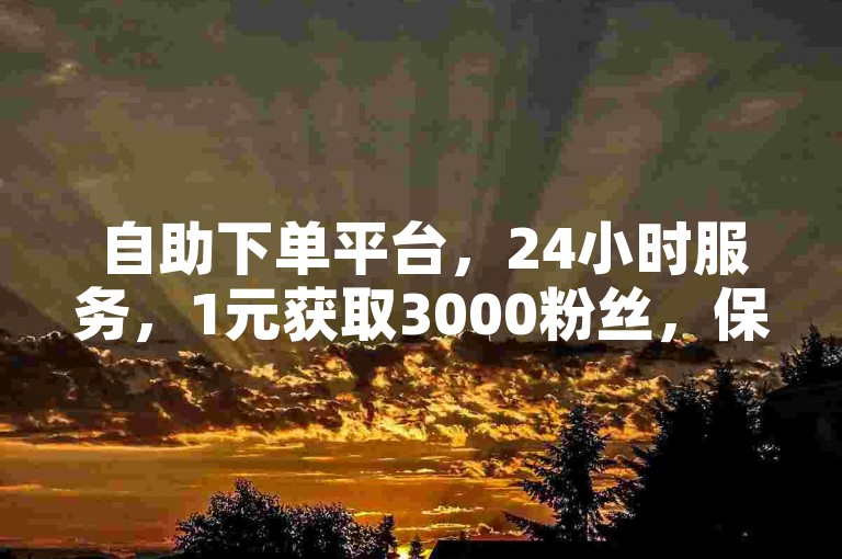 自助下单平台，24小时服务，1元获取3000粉丝，保证不掉粉。