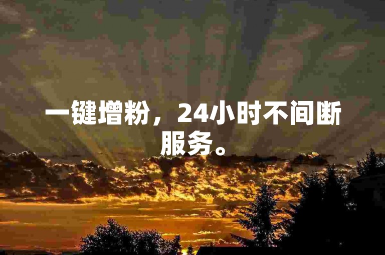 一键增粉，24小时不间断服务。