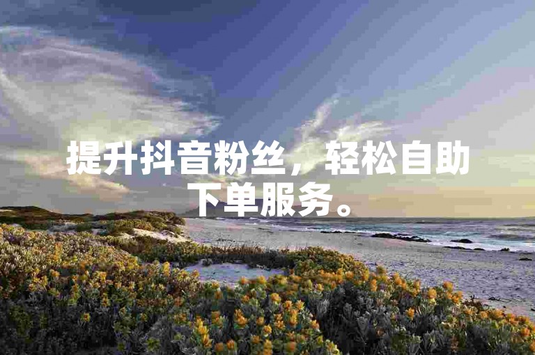 提升抖音粉丝，轻松自助下单服务。