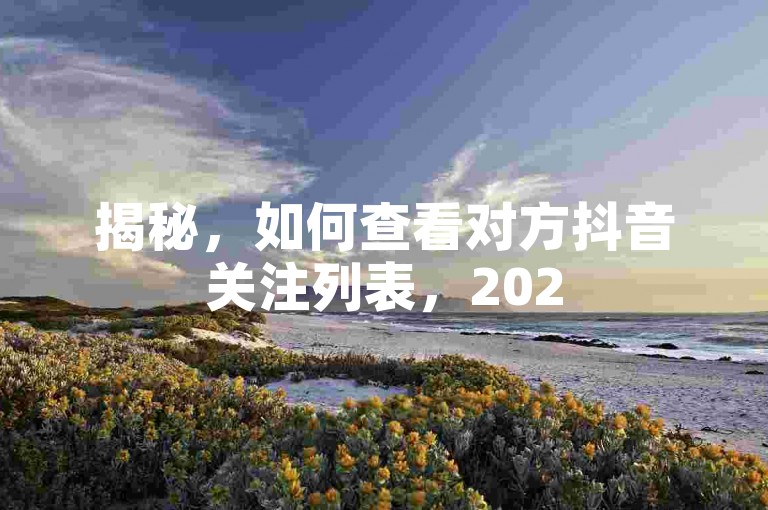 揭秘，如何查看对方抖音关注列表，2025必备技巧！
