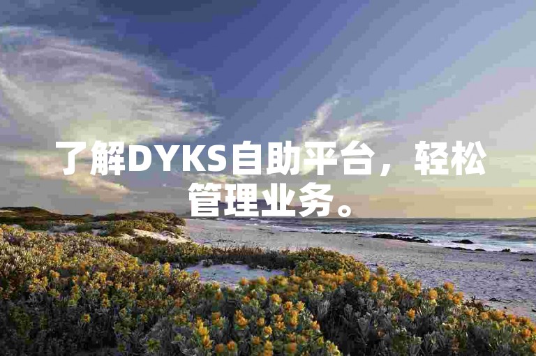 了解DYKS自助平台，轻松管理业务。