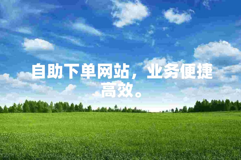 自助下单网站，业务便捷高效。