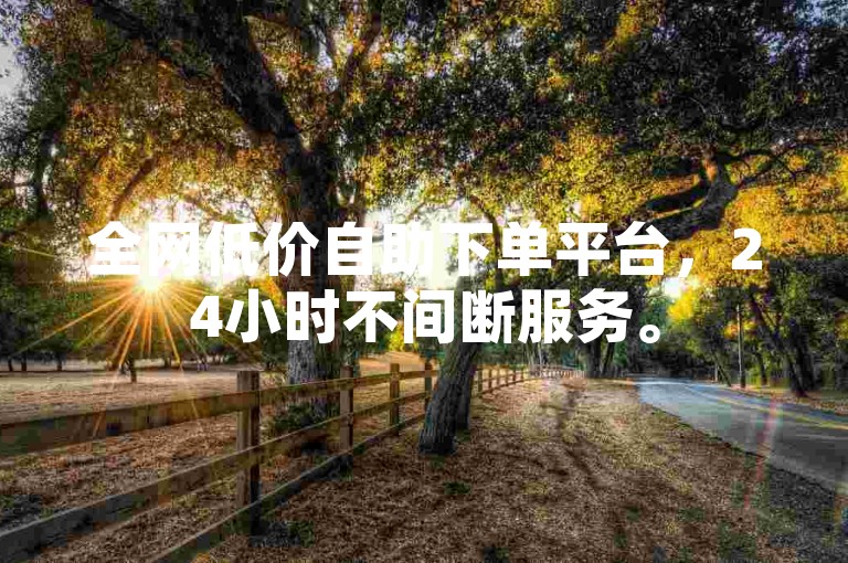 全网低价自助下单平台，24小时不间断服务。
