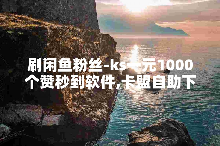 刷闲鱼粉丝-ks一元1000个赞秒到软件,卡盟自助下单24小时