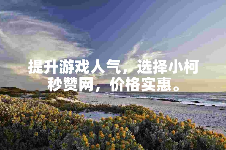 提升游戏人气，选择小柯秒赞网，价格实惠。
