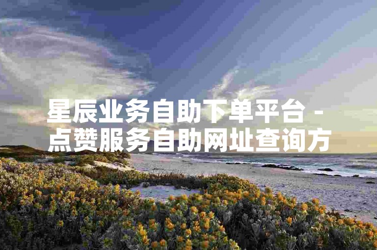 星辰业务自助下单平台 - 点赞服务自助网址查询方法。