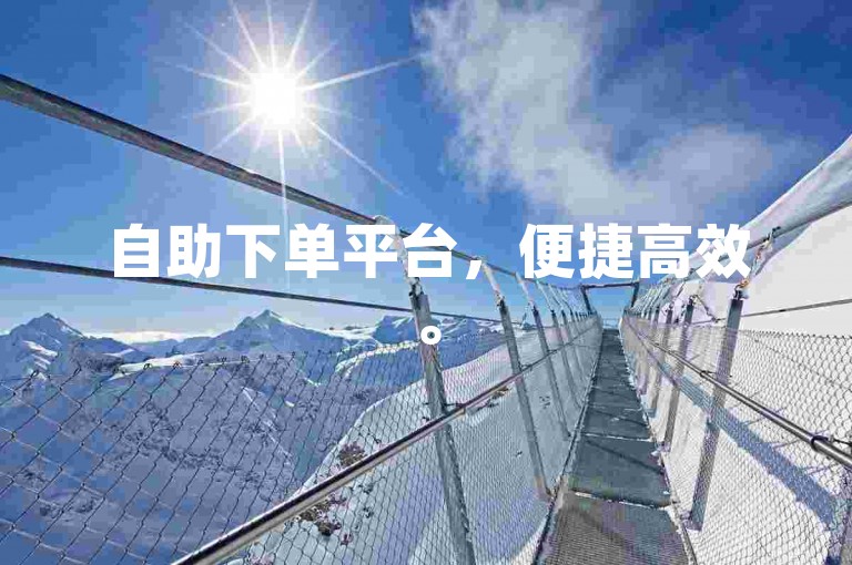 自助下单平台，便捷高效。