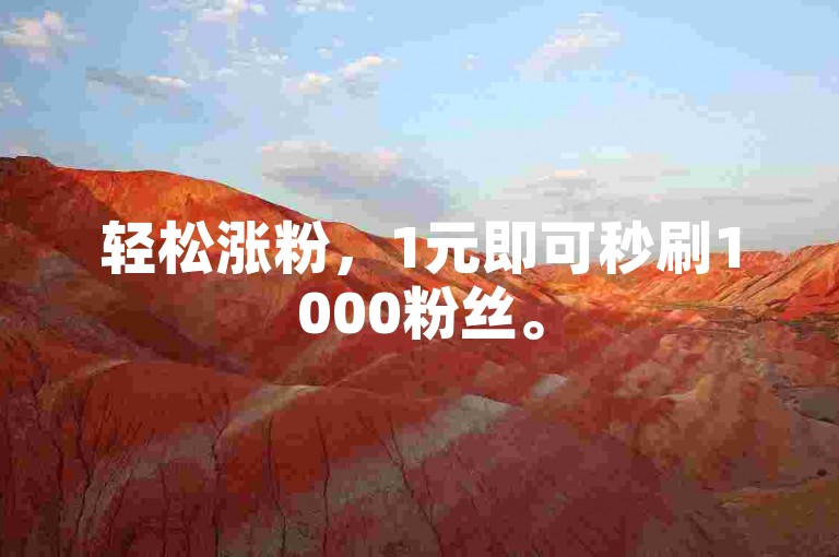 轻松涨粉，1元即可秒刷1000粉丝。