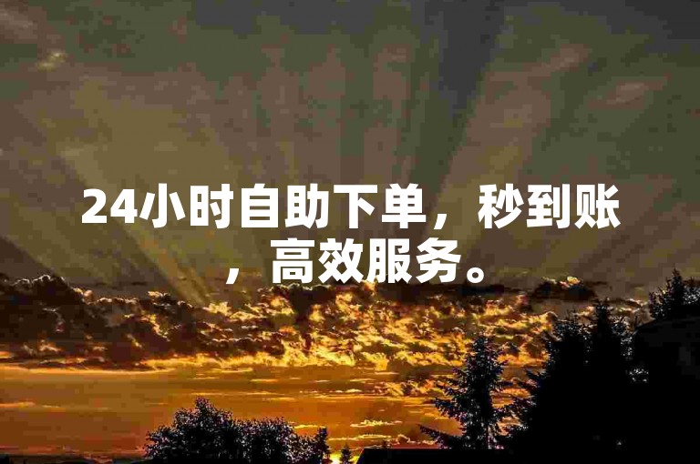 24小时自助下单，秒到账，高效服务。