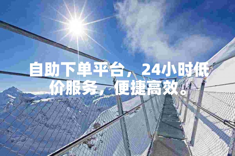自助下单平台，24小时低价服务，便捷高效。