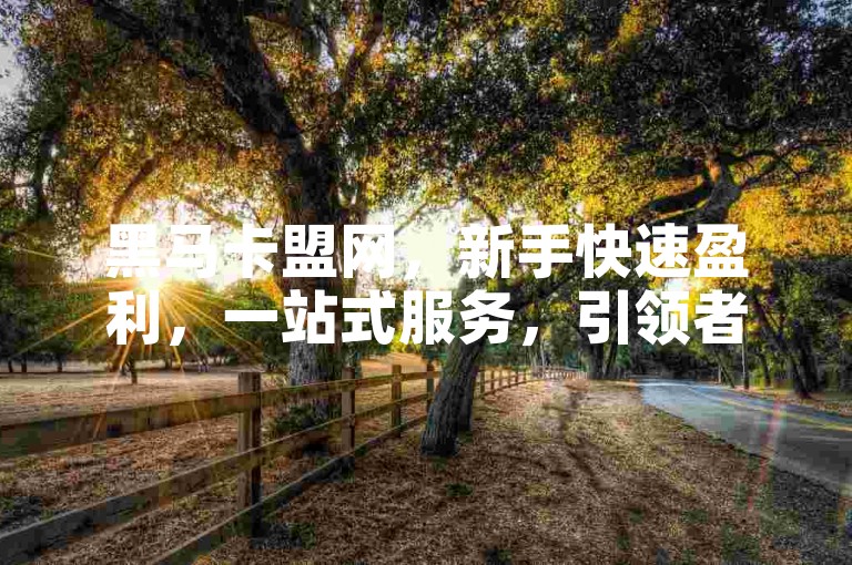 黑马卡盟网，新手快速盈利，一站式服务，引领者！