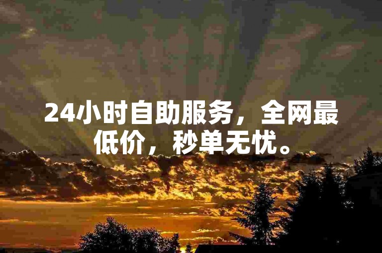24小时自助服务，全网最低价，秒单无忧。