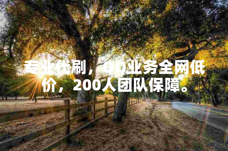 专业代刷，QQ业务全网低价，200人团队保障。