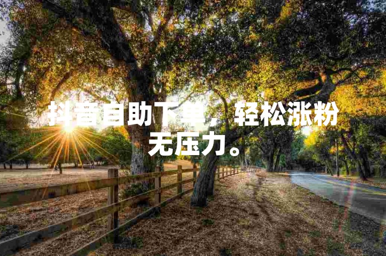 抖音自助下单，轻松涨粉无压力。