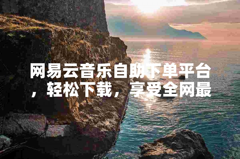 网易云音乐自助下单平台，轻松下载，享受全网最低价。
