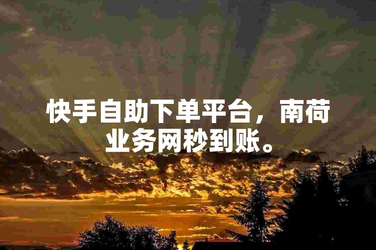 快手自助下单平台，南荷业务网秒到账。