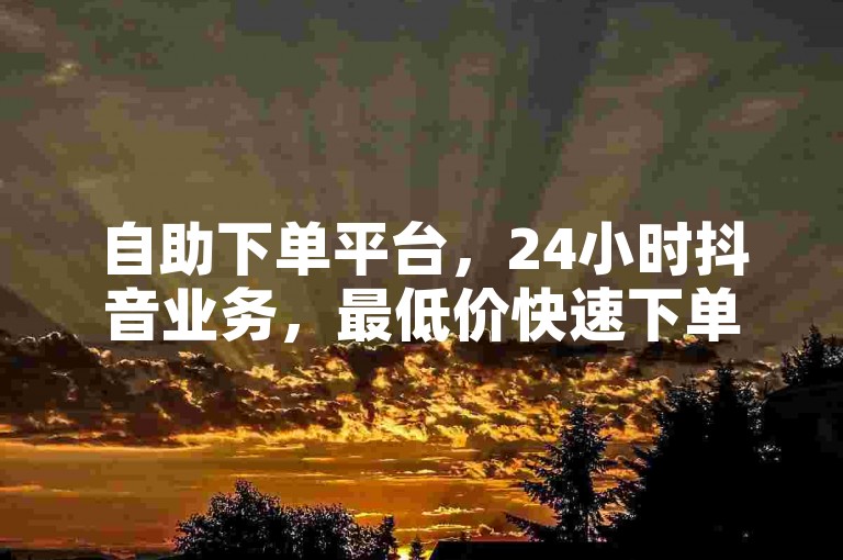 自助下单平台，24小时抖音业务，最低价快速下单。