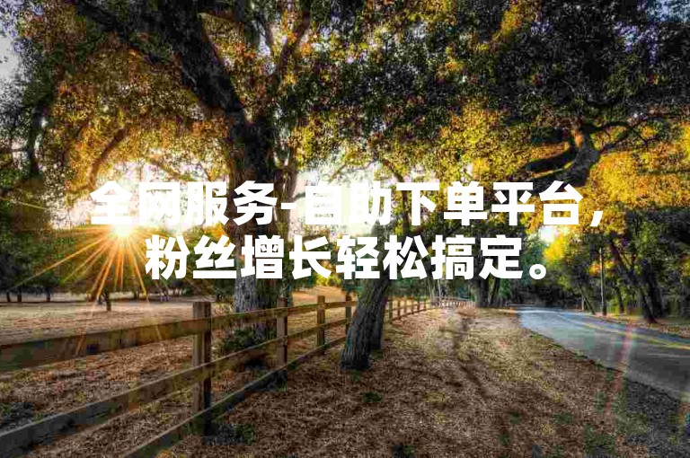 全网服务-自助下单平台，粉丝增长轻松搞定。